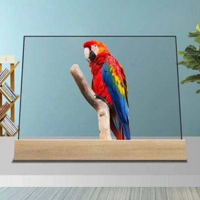 Ясен OLED дисплей